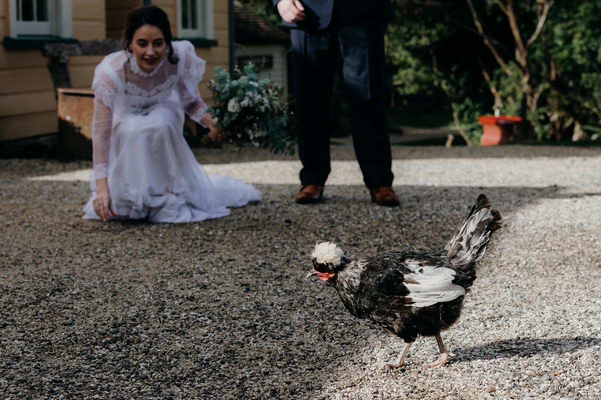 howick historical village elopement wedding chicken photos skinny love wedding