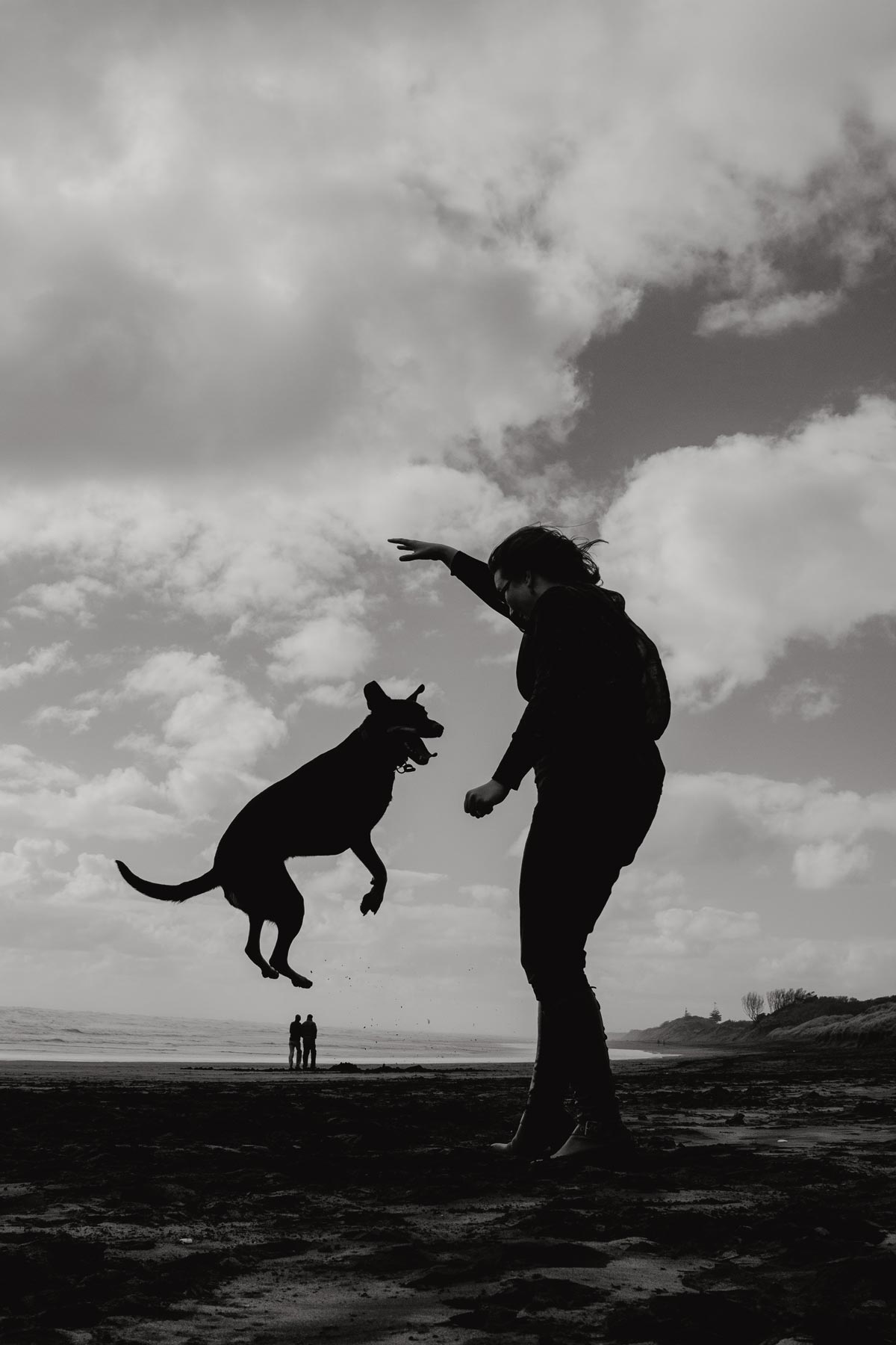 dog jumping silhouette on muriwai beach by sarah weber photography
