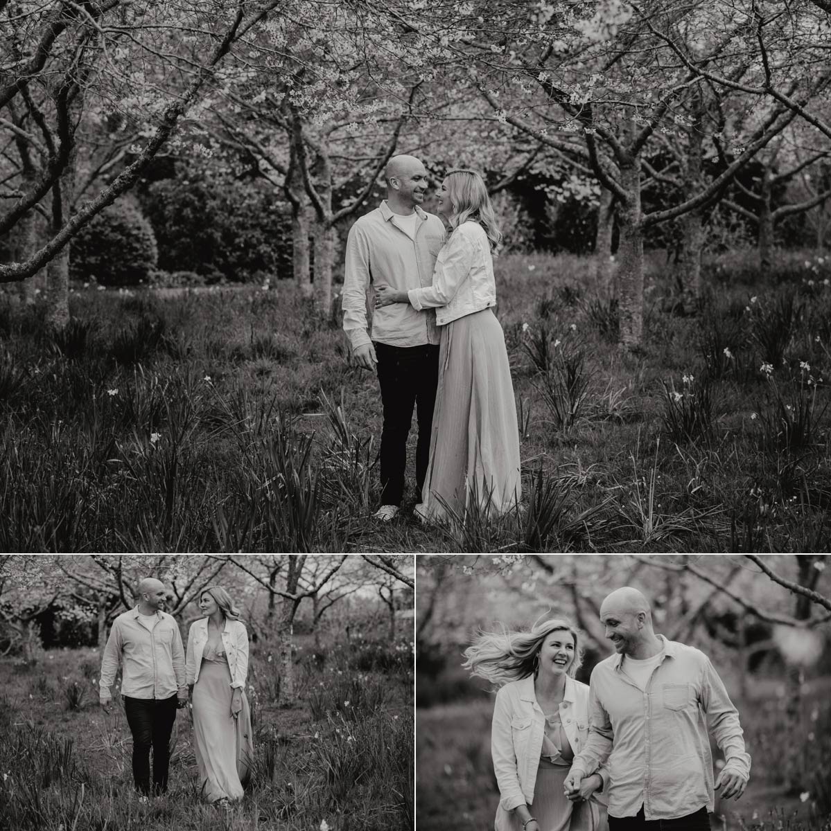 couple engagement lifestyle portrait in spring cherry blossoms, auckland botanic gardens during a family portrait photo session with sarah weber photography spring family photos auckland