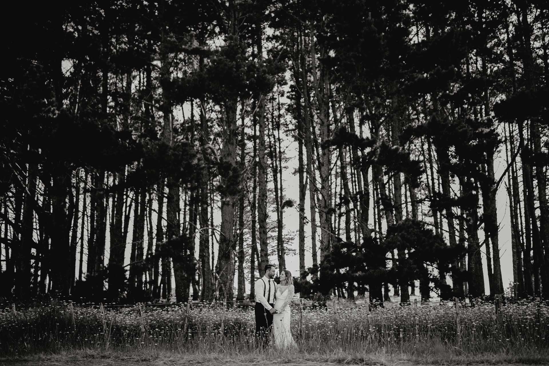 bride and groom wedding portrait photos infront of pine trees at waimauku auckland photos by sarah weber photography