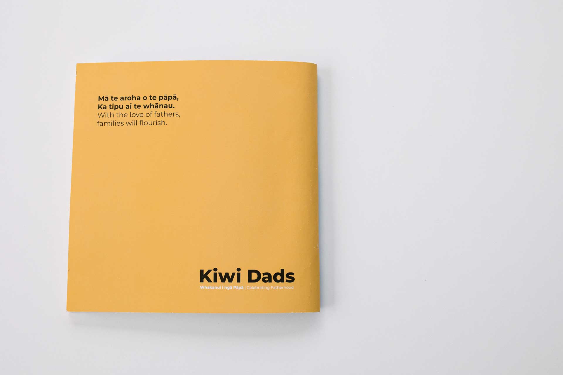 back cover of kiwi dads booklet by global women and parents at work